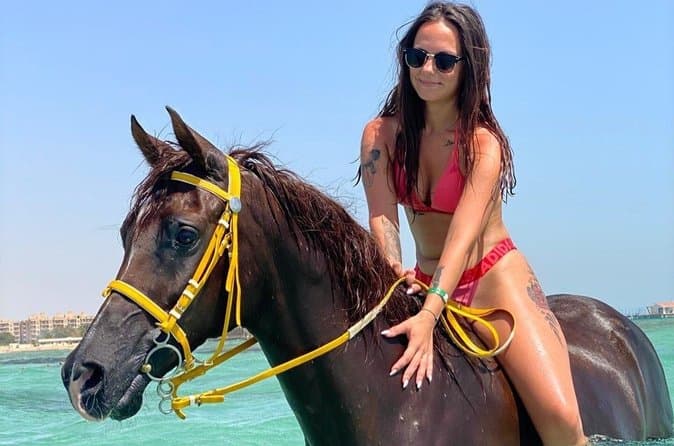 Hurghada Horseback Riding-Desert&Beach adventure with Swimming