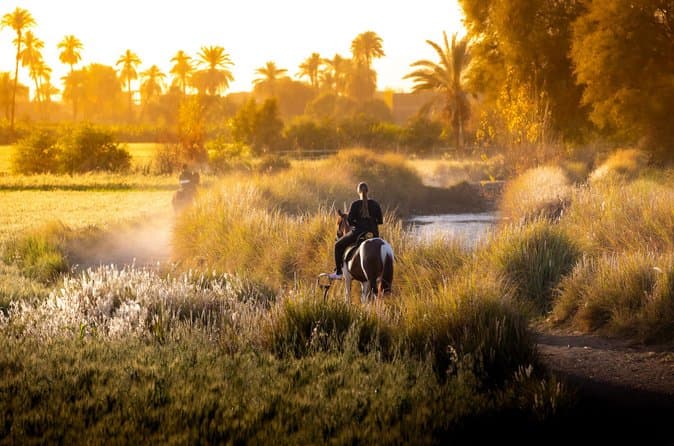 Horseback riding tour of rural Luxor east side