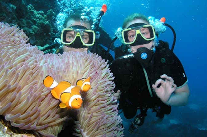Scuba Diving Full Day Boat Trip for beginners With Lunch Hurghada