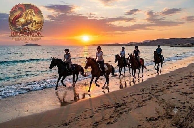 Horse Riding & Camel Beach,Desert, Swim,Sunrise & Sunset-Hurghada