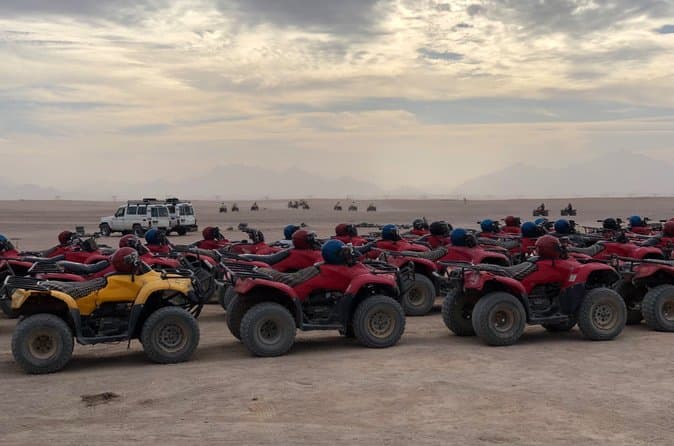 Hurghada super safari quad and buggy, camel , BBQ dinner&show