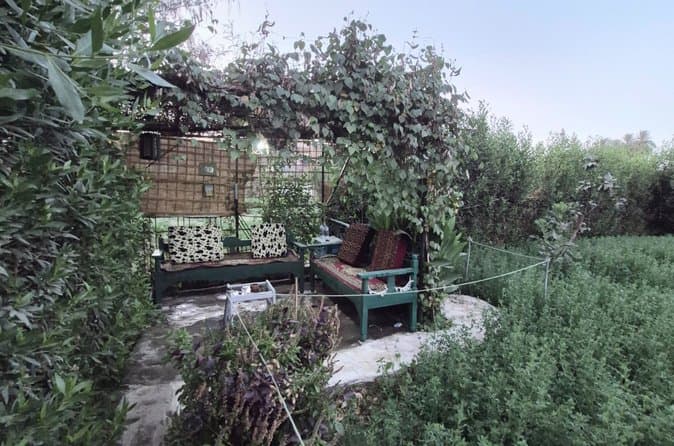 Garden Picnic Experience in the Green