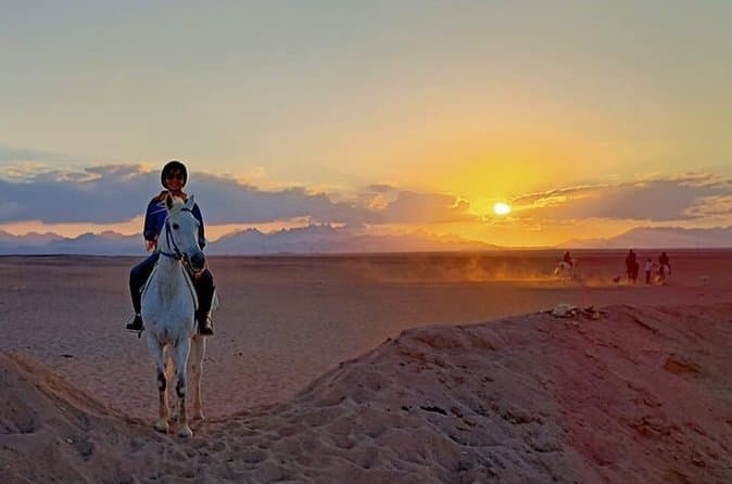 Sunset Horse and Camel Riding Adventure from Hurghada