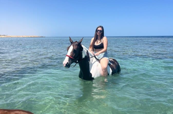 Hurghada Horse Riding Desert Beach and Red Sea Swim Options