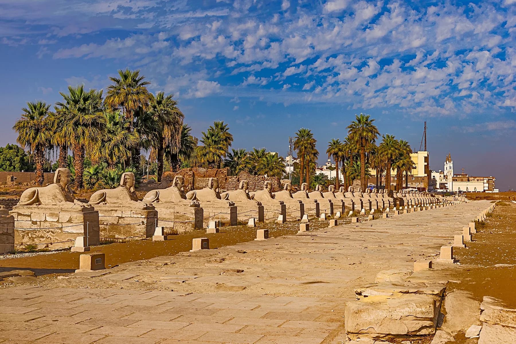 Avenue of Sphinxes in warm light, the Luxor Temple end of the processional way