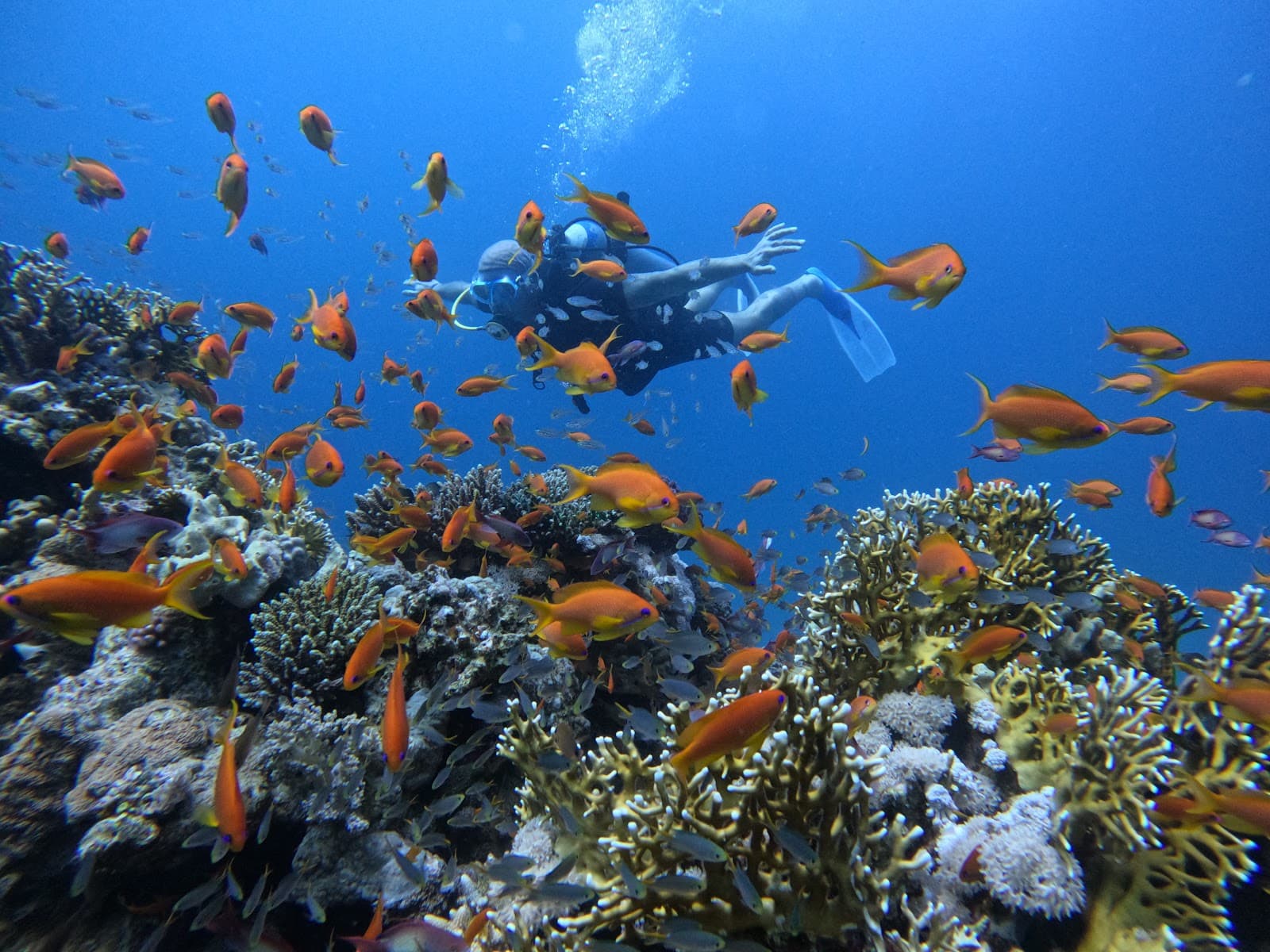 Anar Dive Center