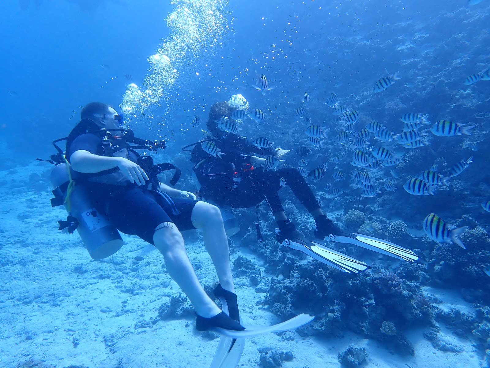 Be diver
