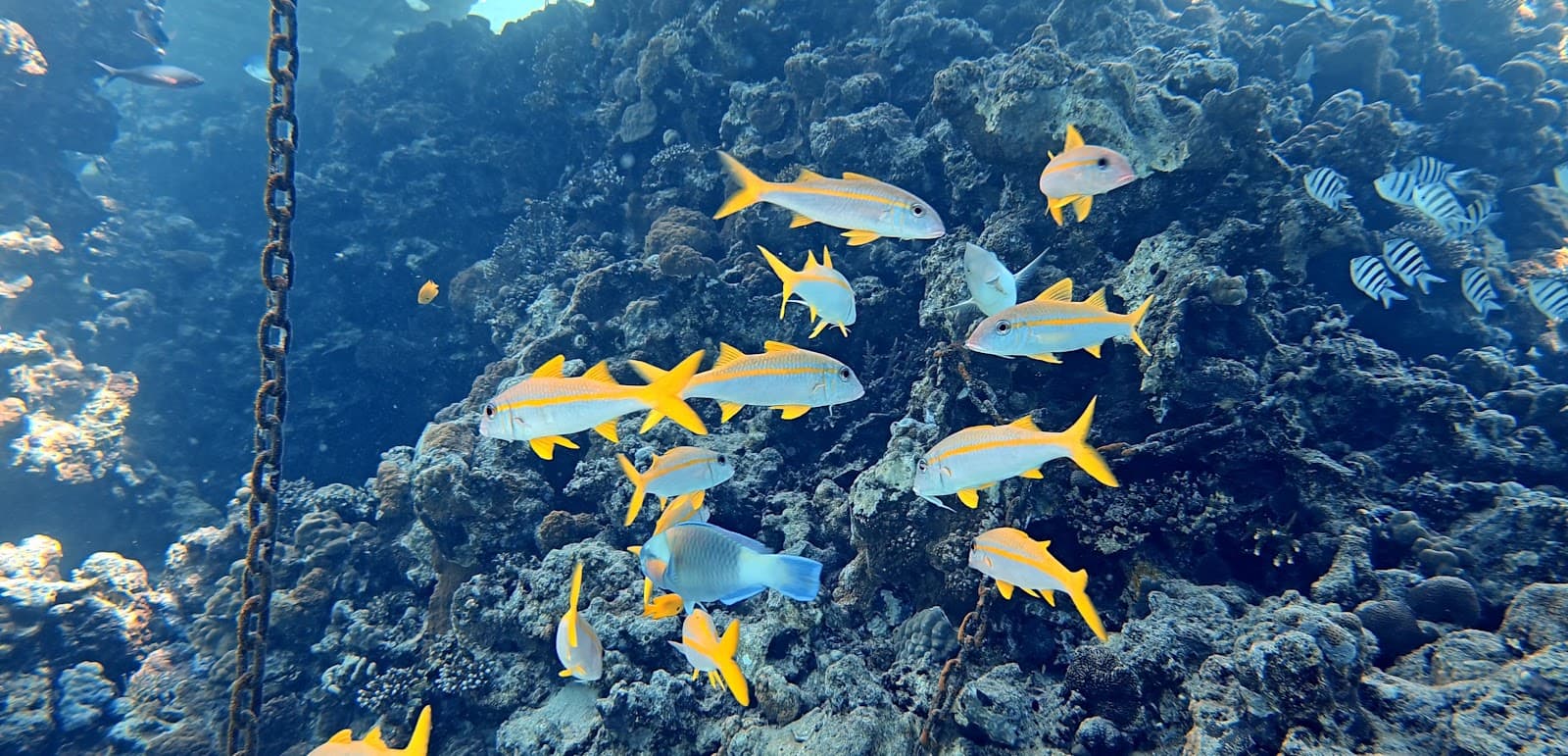 Blue Lagoon