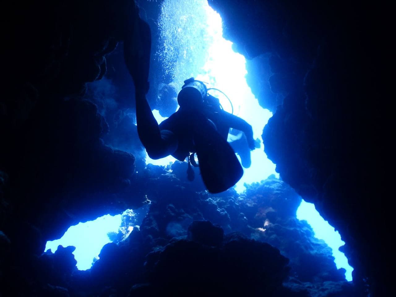 Coral Diving Club