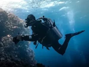 Diving Around