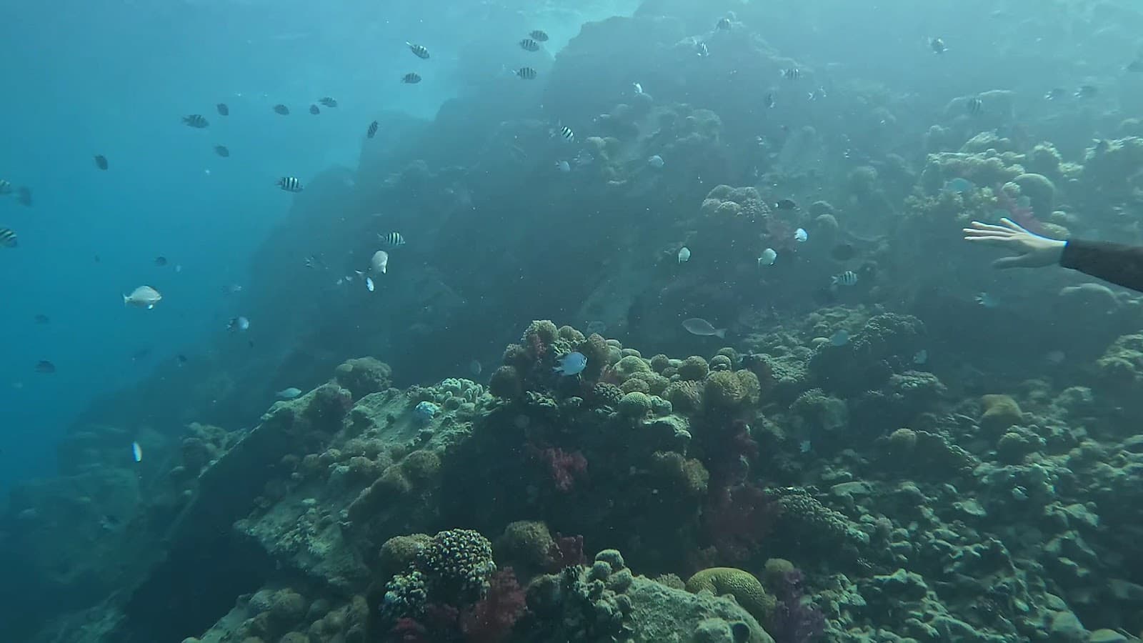 Diving Planet for diving & water sport