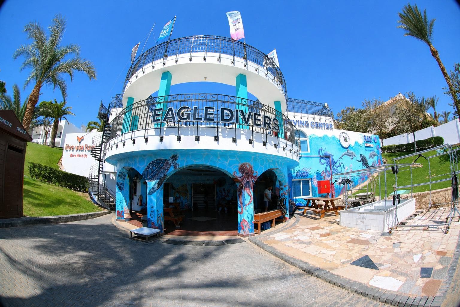 Eagle Divers