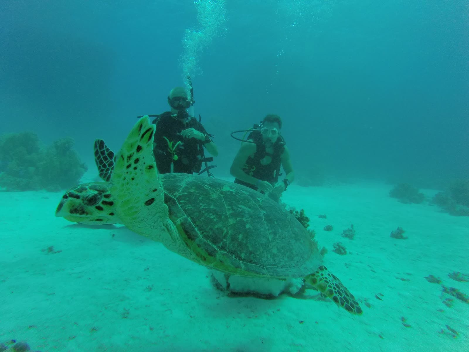 Fun Fly Diving Center Egypt