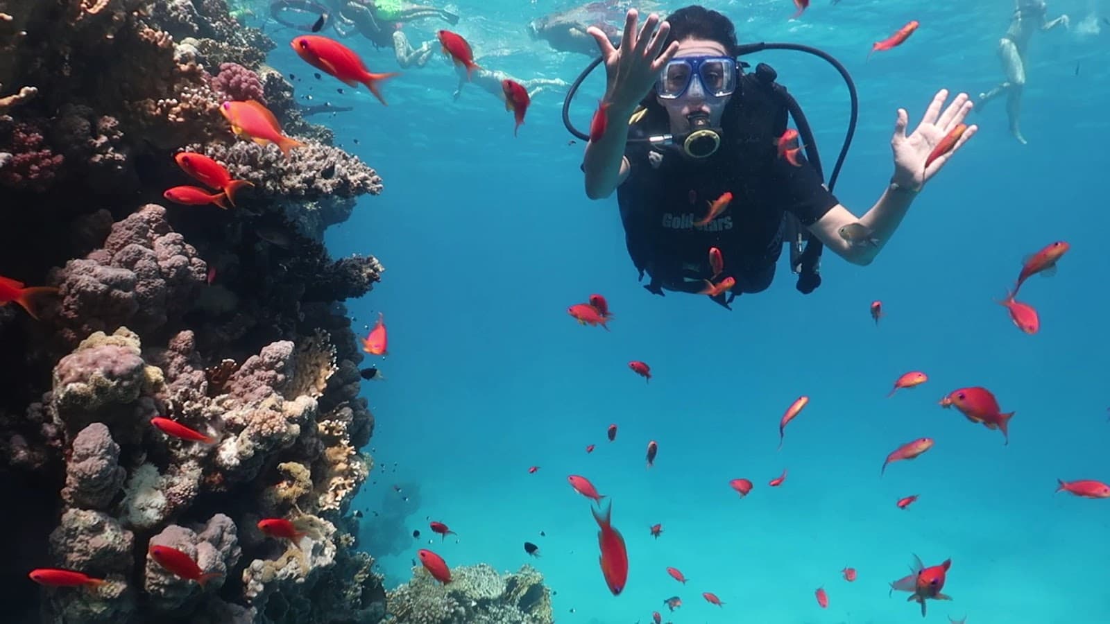 I Dive Diving Center