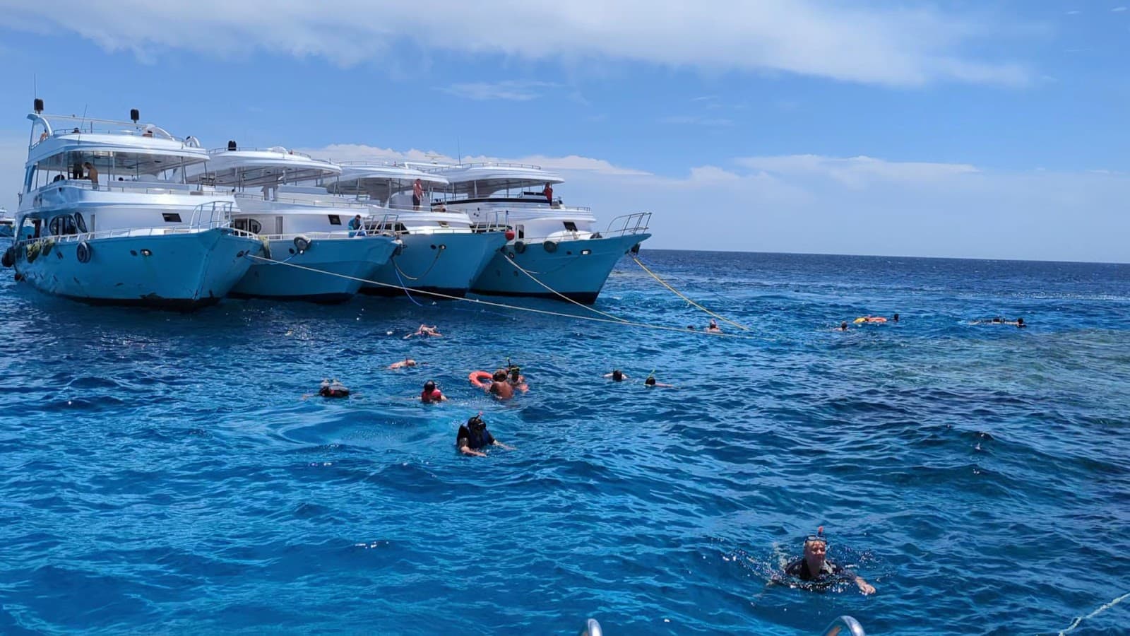 Manta Divers Sharm
