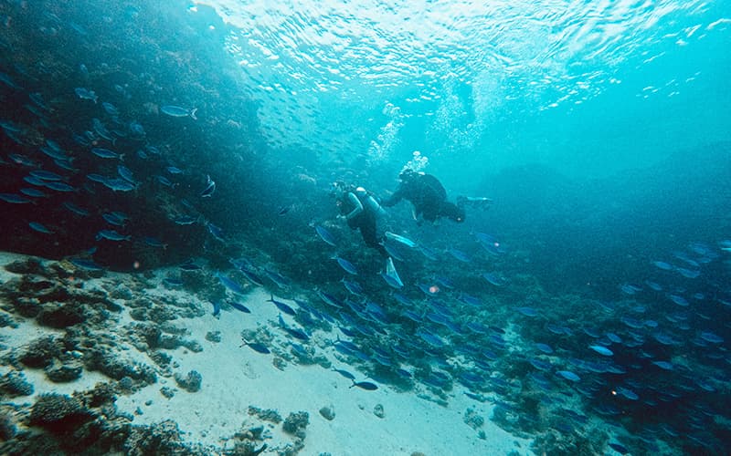 Nesima Diving Center