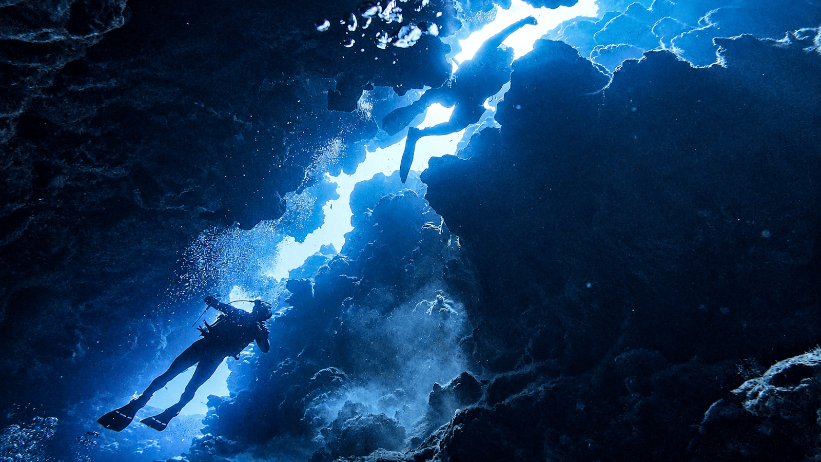 Penguin Divers