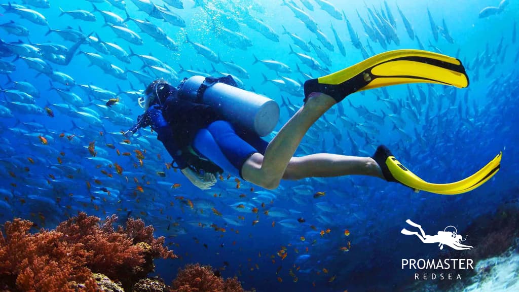 Pro Master Red Sea