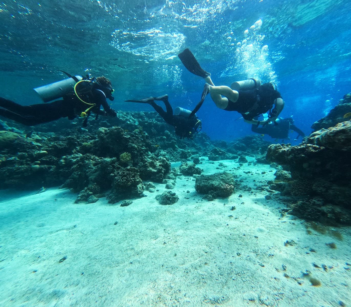 Red Sea Adventure