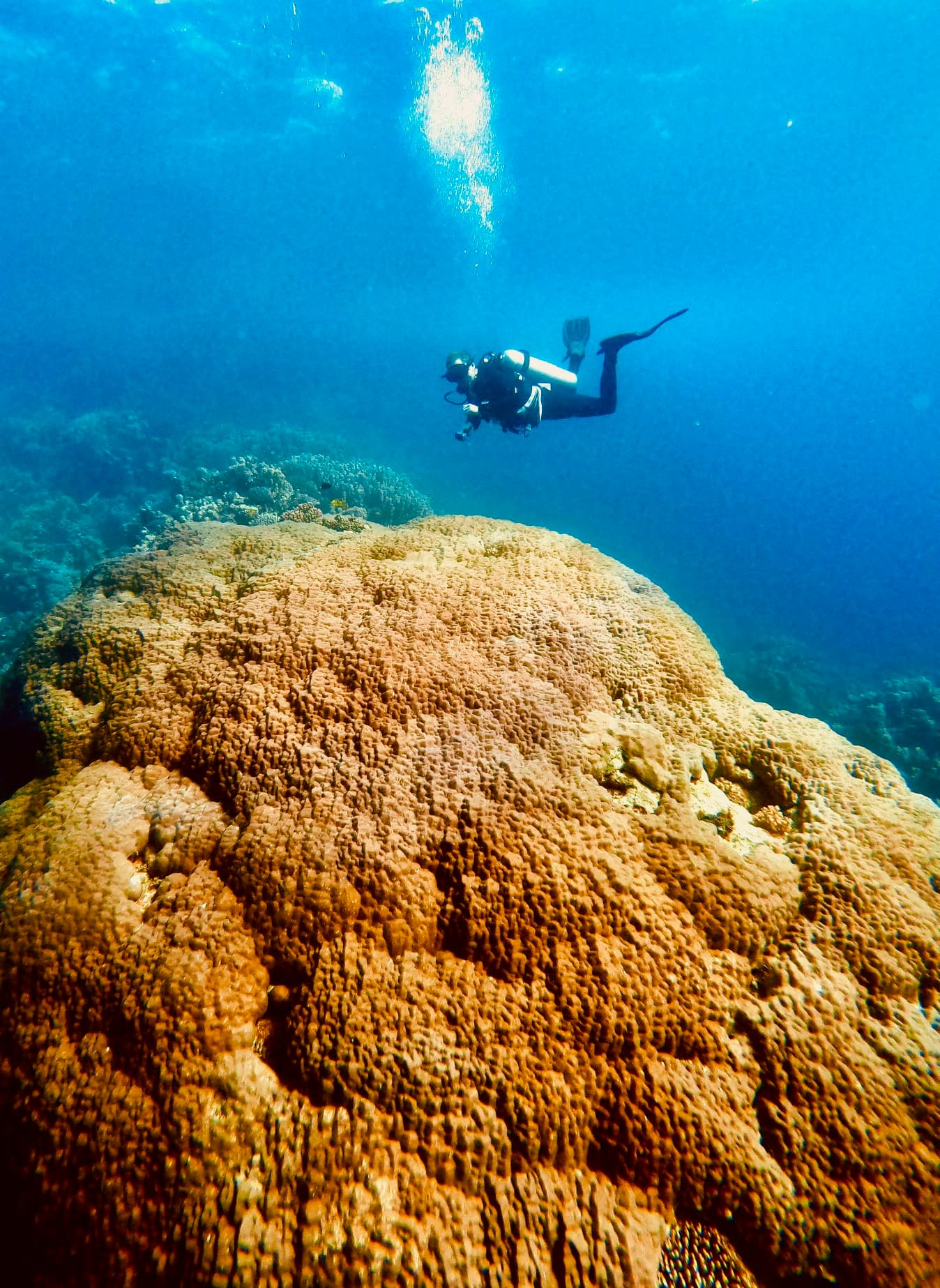 Scuba Zone Dahab