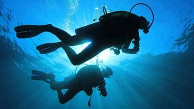 Sea World Dive Club