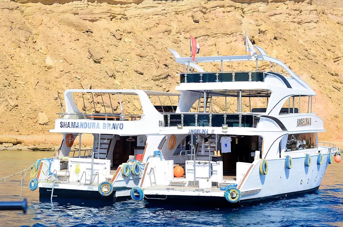 Shamandura Dive Club