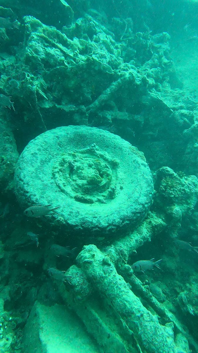 Sinai Divers Diving Service