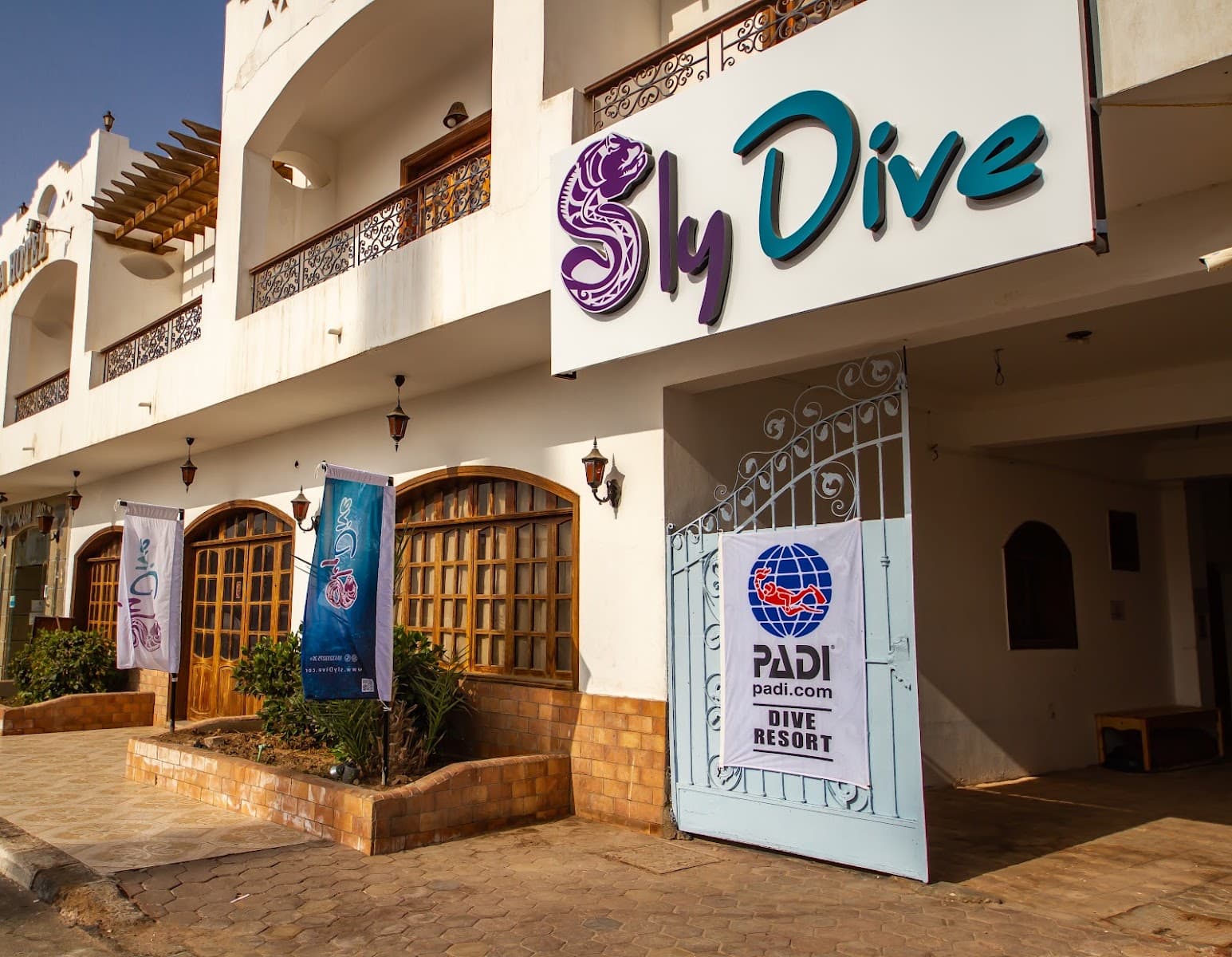 Sly Dive