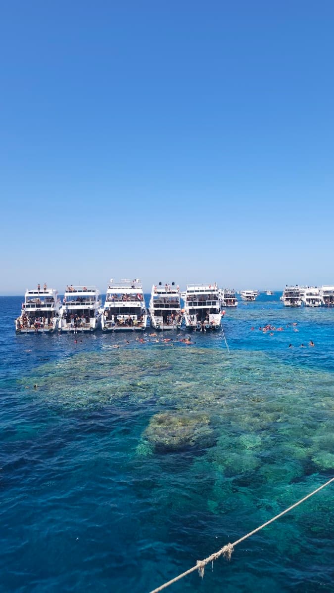 Sphinx Dive Club