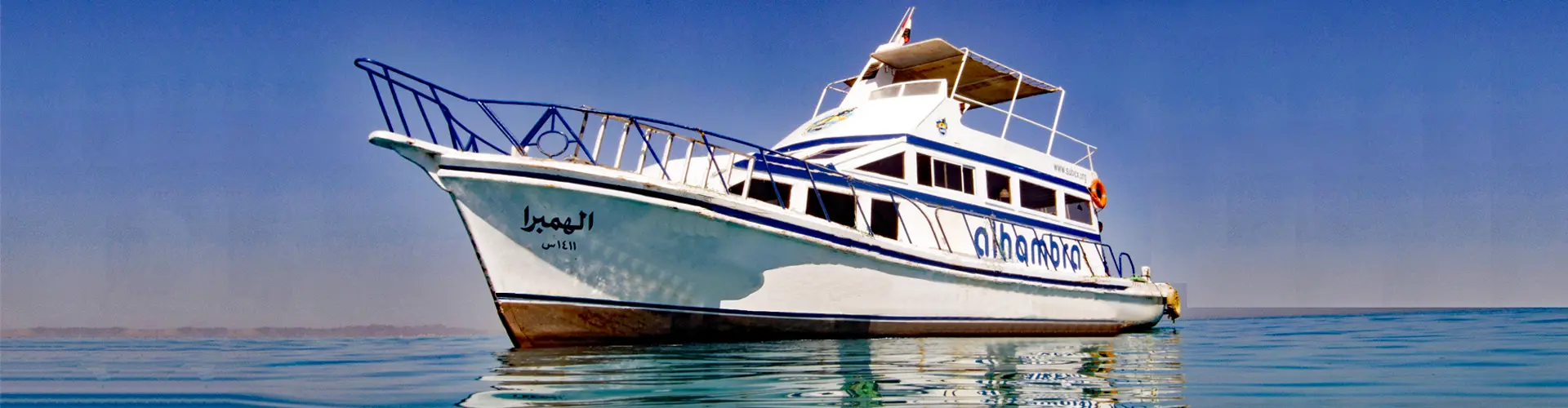 Subex Red Sea -Sub Egypt