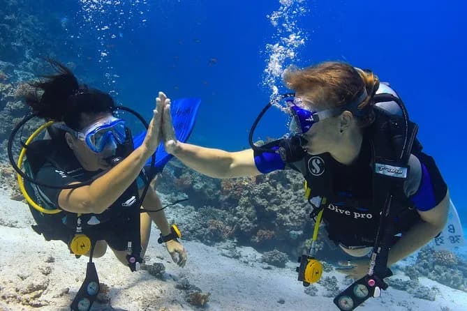 2-Dive adventure-Safe & Barca più votata per subacquei certificati