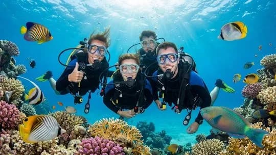 Diving experiences and courses in Marsa Alam