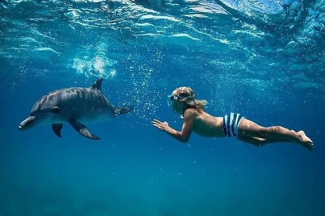 Dolphin House Full Day Snorkeling Cruise With Lunch – Hurghada