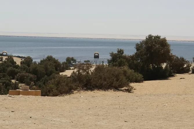 El Fayoum Oasis Day Tour from Cairo Wadi El Rayan and Wadi Hitan