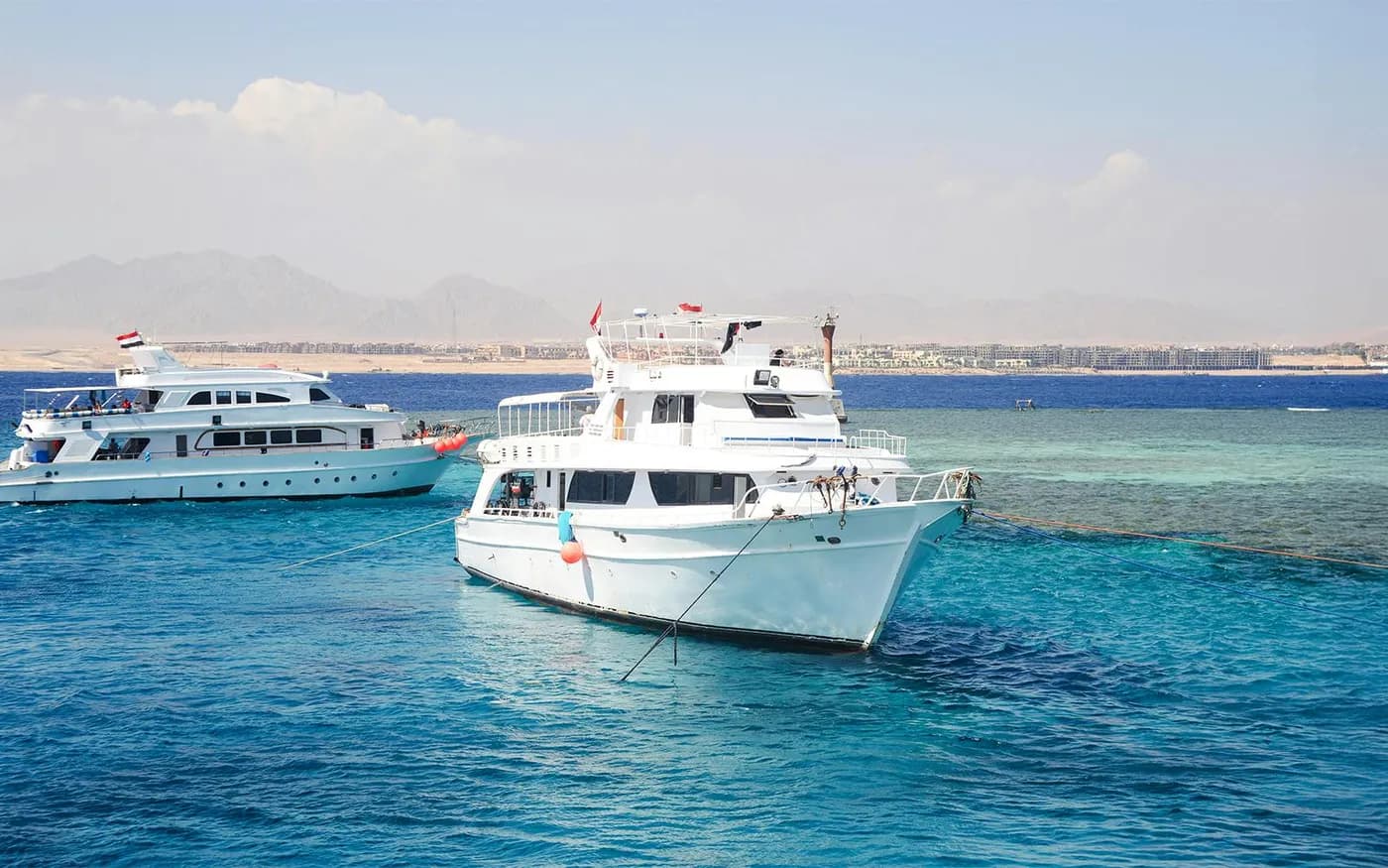 From Sharm El Sheikh: Tiran Island Cruise with Diving, Snorkeling & Lunch
