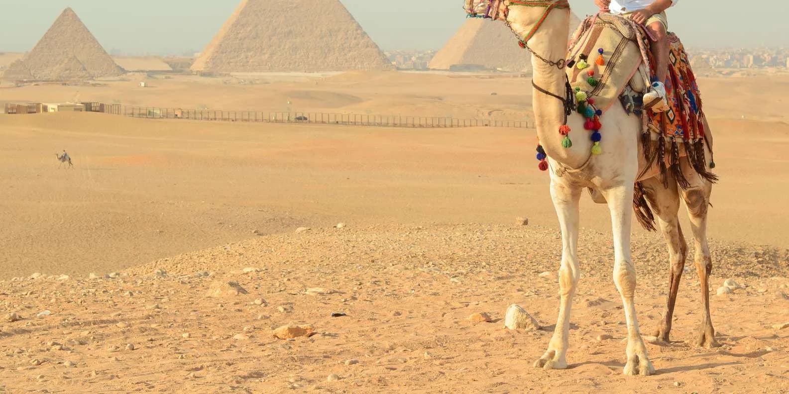 Tour guidato delle piramidi all'alba di Giza con giro in cammello e colazione