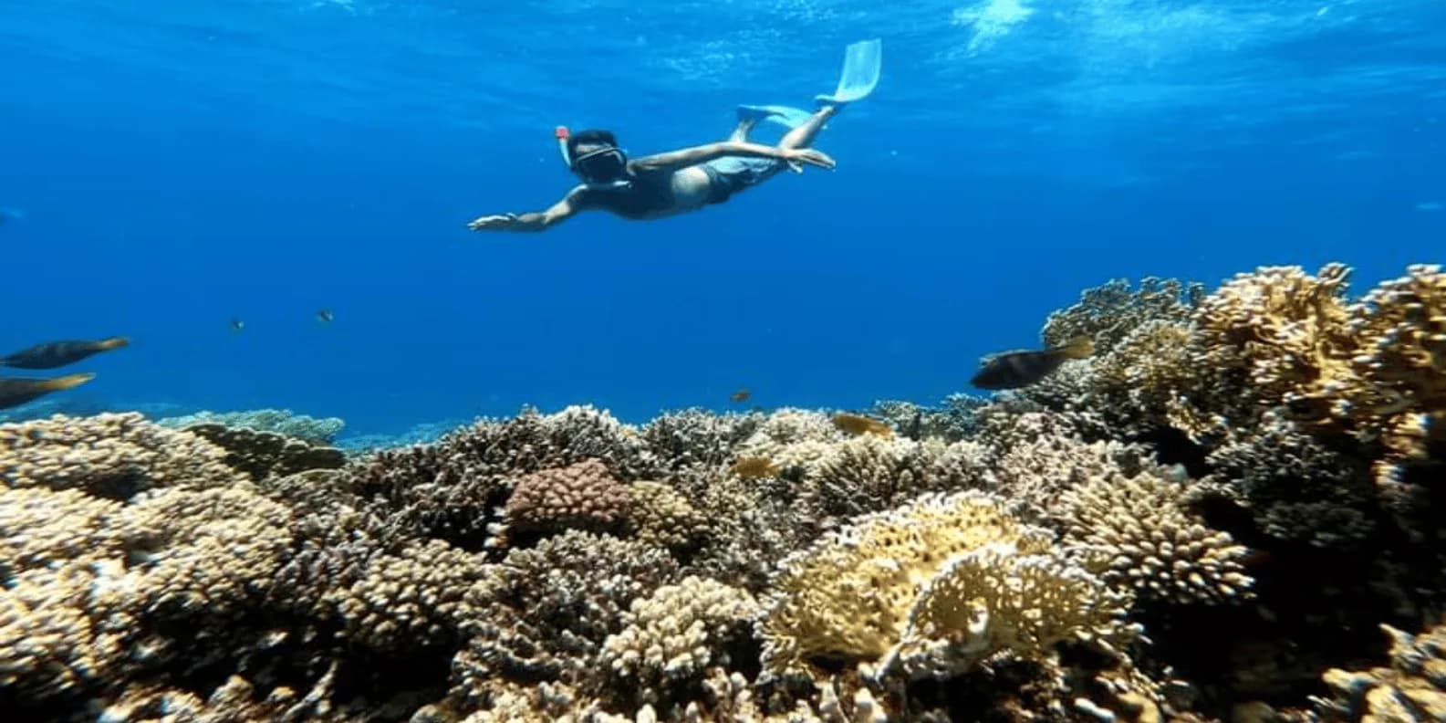Hurghada: Luxury Cruise Trip to Orange Bay with Lunch