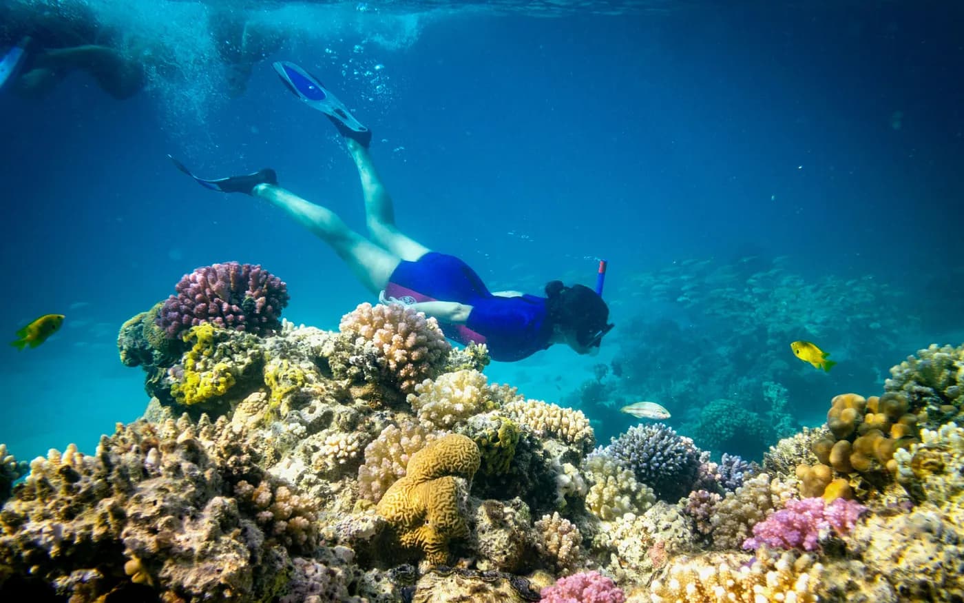 Hurghada: tour di snorkeling di un'intera giornata all'isola di Giftun con pranzo