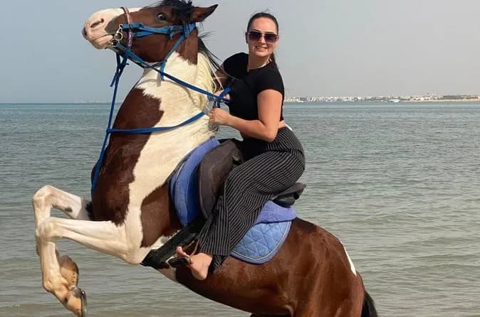 Hurghada Horse or Camel Riding in Desert & Beach