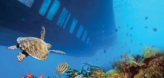 Excursión en barco con fondo de cristal de las sirenas de Hurghada