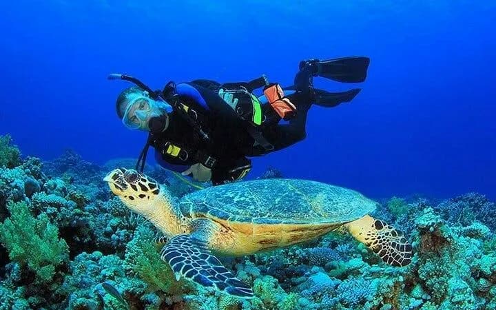 Hurghada Intro Scuba Diving Boat Trip with 2 Dives, Lunch and Hotel Transfers