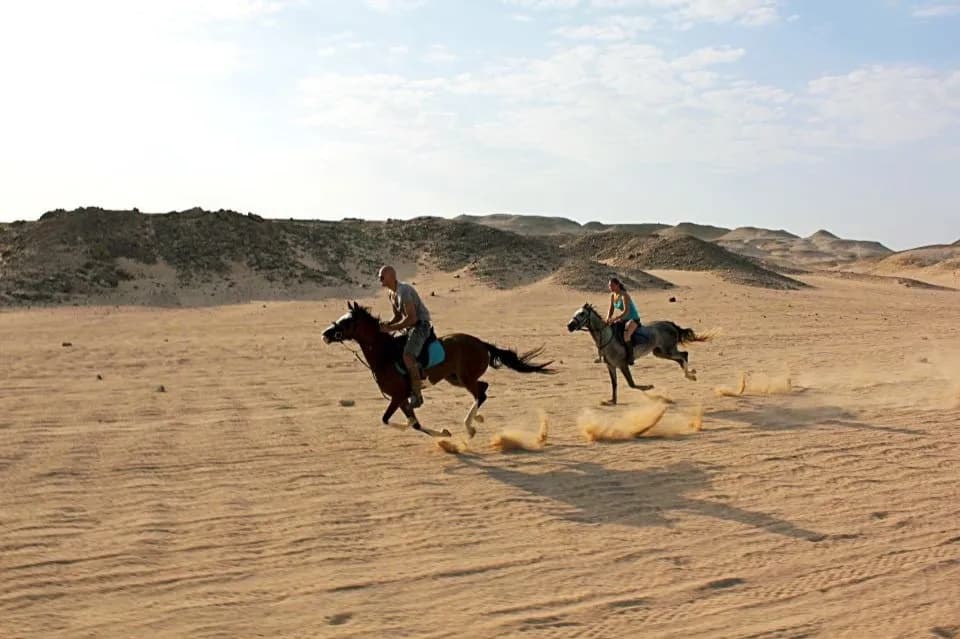 Marsa Alam: Desert and Sea Horseback Adventure