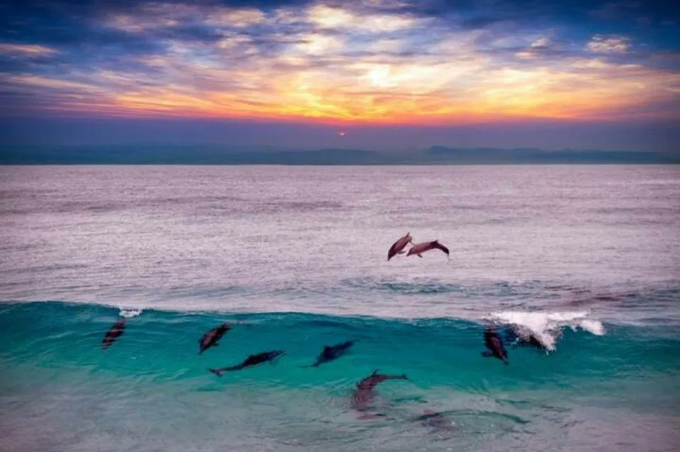Marsa Alam: Overnight Stay at Sataya Dolphin House + Snorkeling