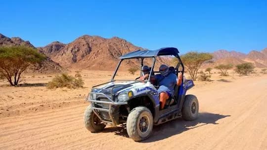 Morgens Sandbuggy-Erlebnis plus Beduinentee-Verkostung in der Wüste von Sharm