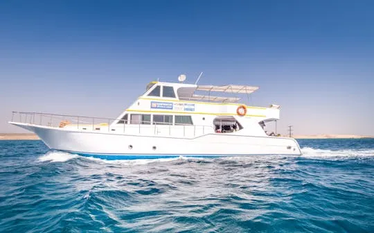 Private boat and snorkeling trip in Marsa Alam with lunch