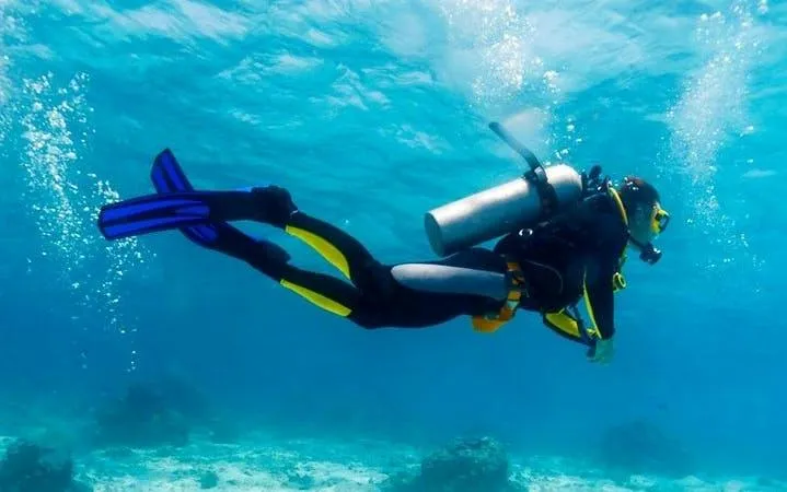 Hurghada Red Sea Scuba Diving Boat Trip with 2 Dives Lunch and Hotel Transfers