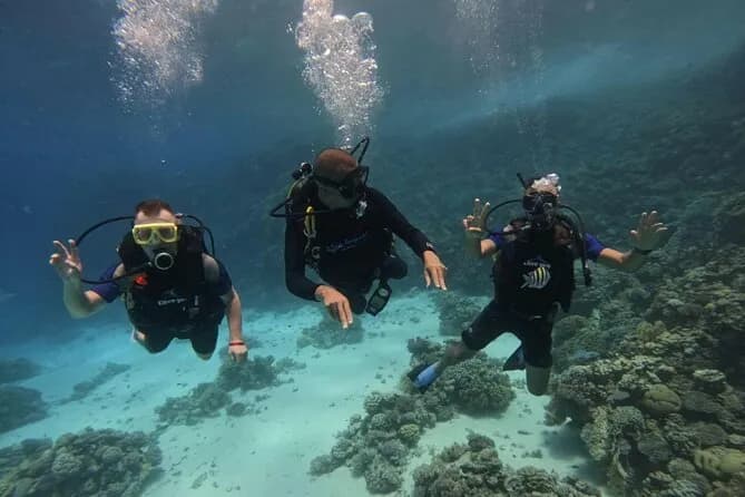 Scuba Diving in Hurghada _ 2 Stops Dive With Equipments & Lunch