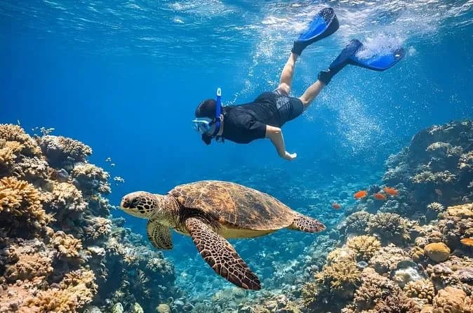 Sharm El Naga Full Day Snorkeling with Turtles & Lunch – Hurghada