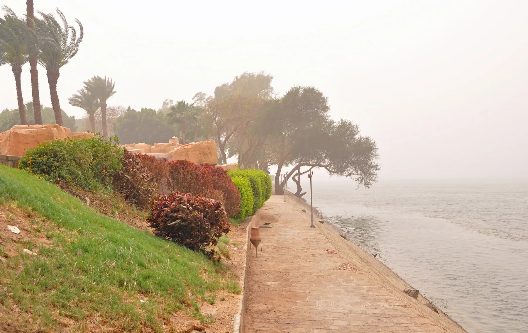 Sand-laden haze over the Nile at King's Island, Luxor, wind-blown trees