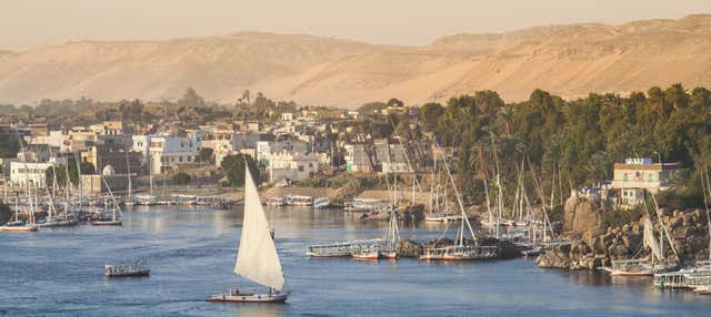 Elephantine Island Boat Tour